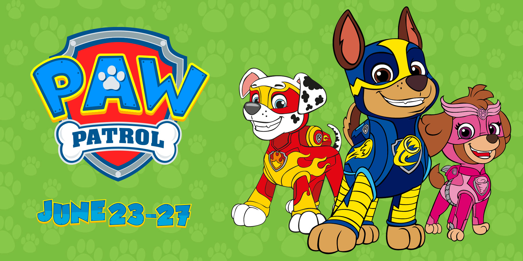 Camp Paw Patrol