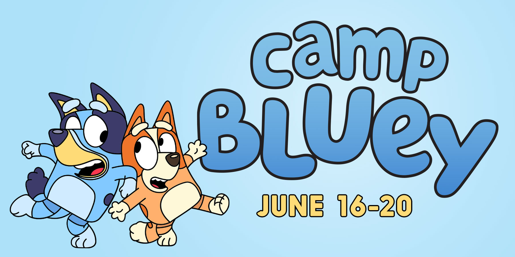 Camp Bluey